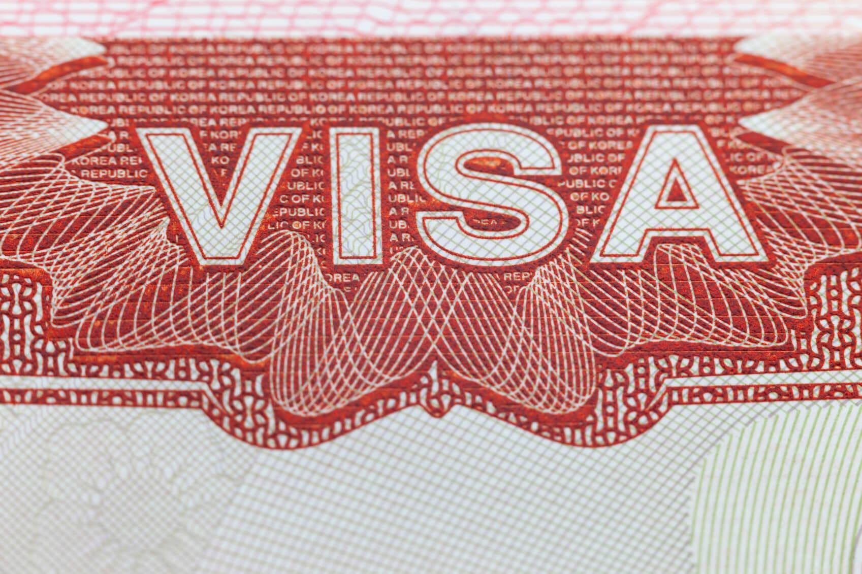 the travel visa