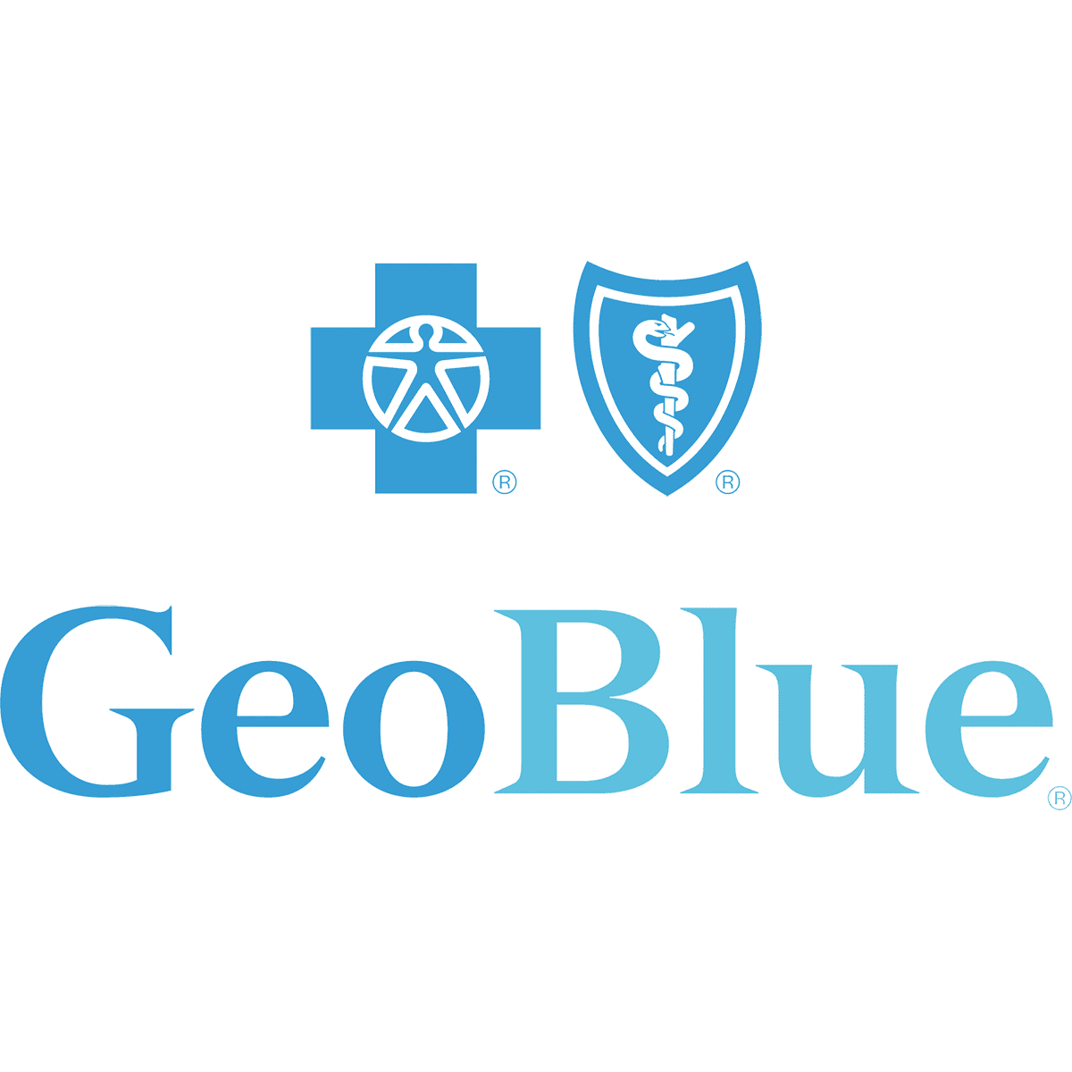 geoblue voyager