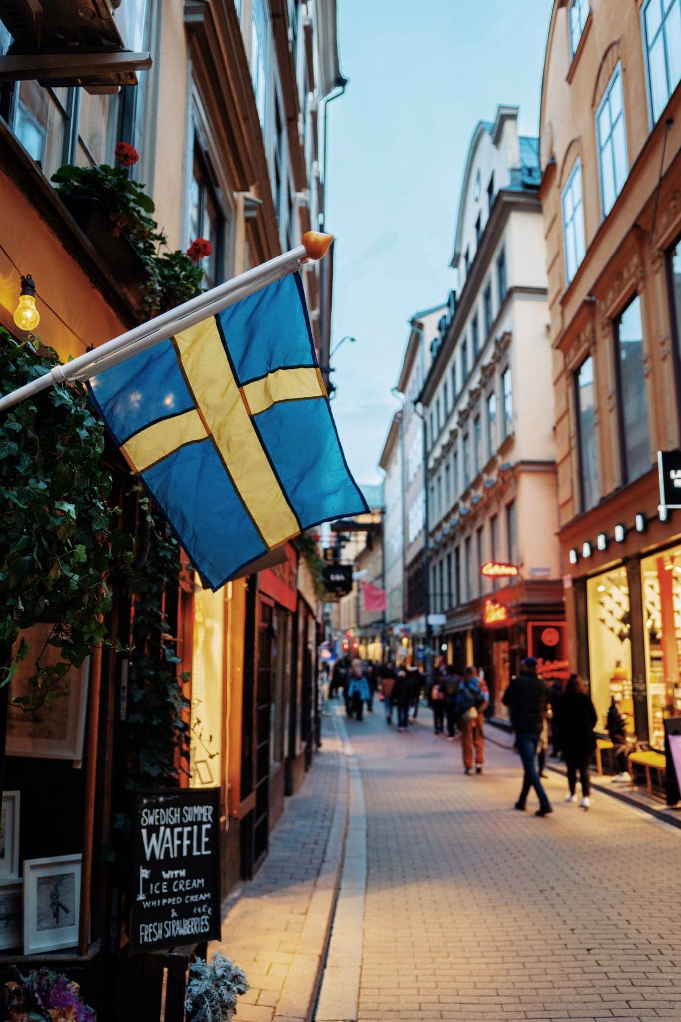 Health Insurance Options for Expats from Sweden