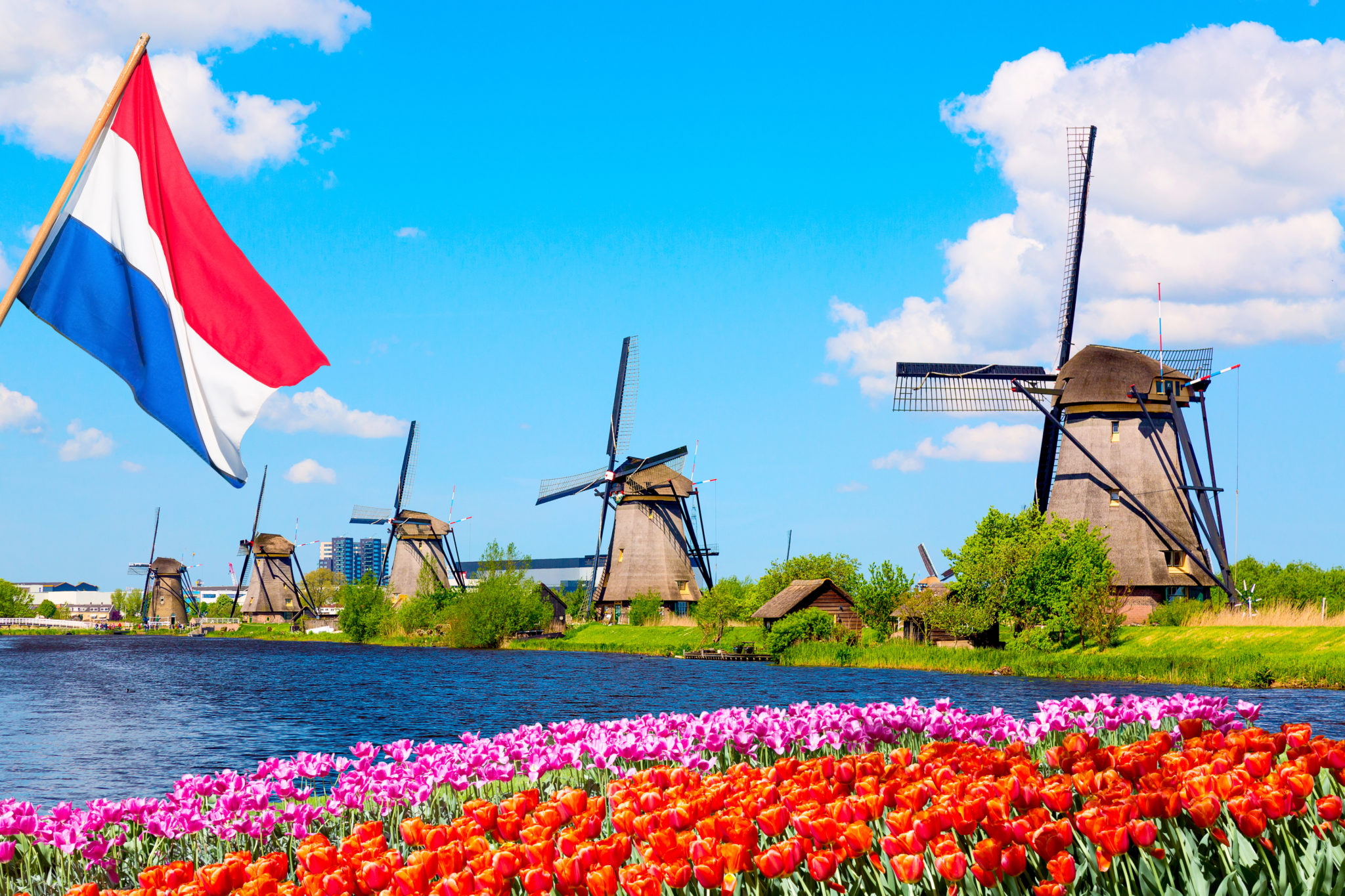 travel companies in netherlands