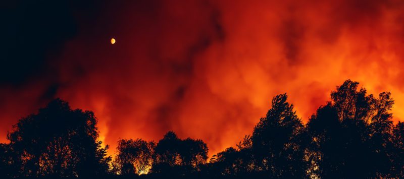 Forest fire or wildfire or bushfire at night, treetops silhouetted by flame