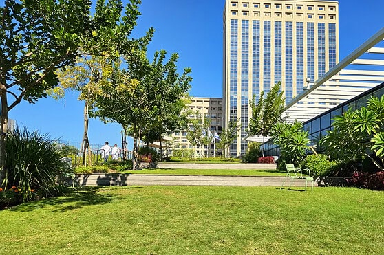 Bright sunny day with vibrant greenery and towering city structures, representing global mobility and international business environment for International Citizens Insurance.