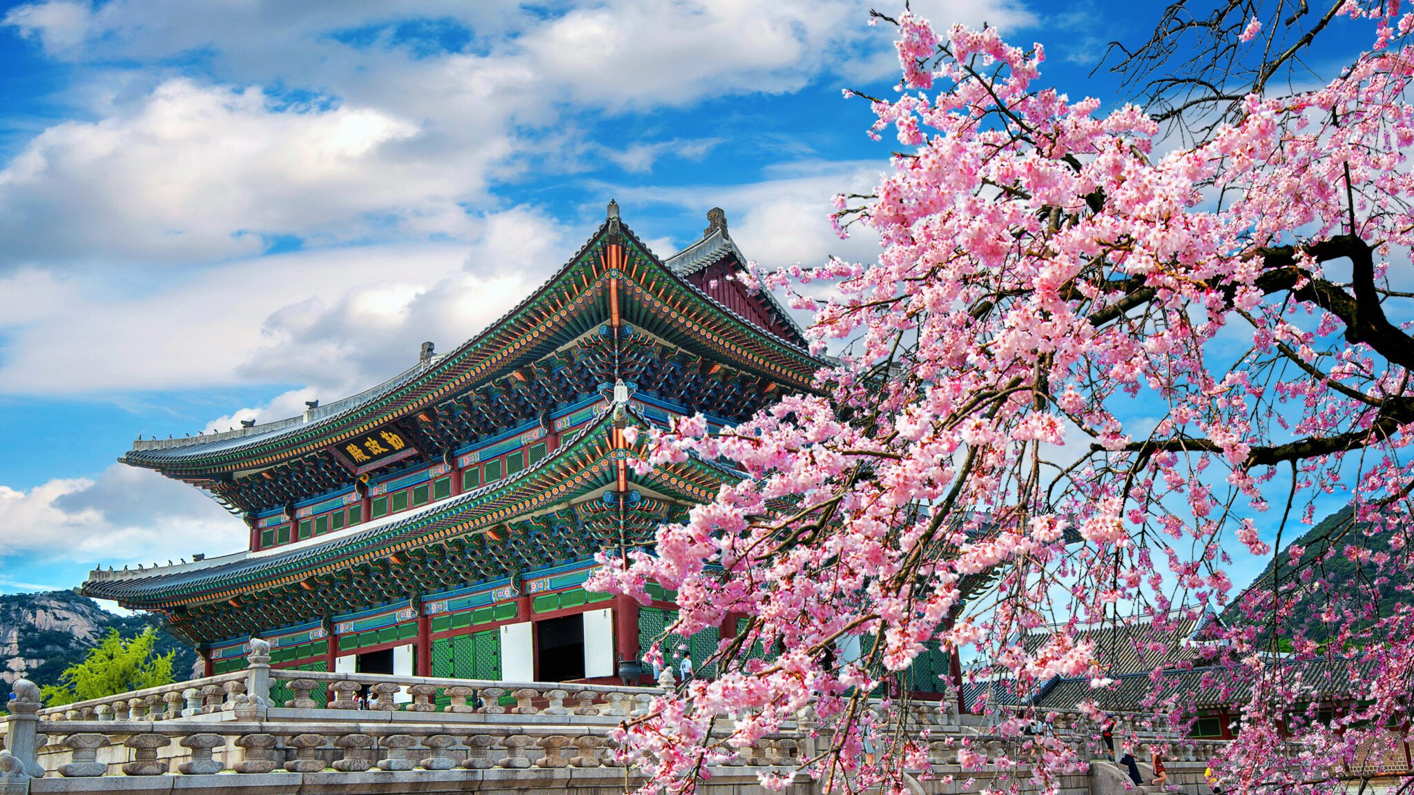 Get Travel Medical Insurance for South Korea