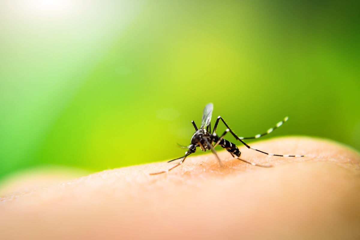 a mosquito drinking from an arm, highlighting the importance of malaria prevention and checking vaccination requirements for traveling abroad