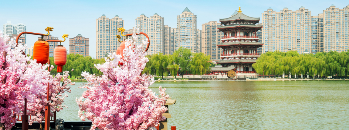 Enjoy stunning urban views of skyscrapers and cultural landmarks at the cherry blossom park, a perfect blend of nature and modern city life, ideal for international residents.