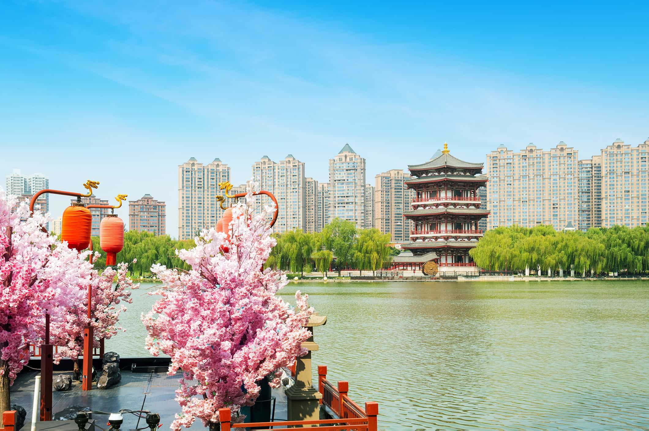 Enjoy stunning urban views of skyscrapers and cultural landmarks at the cherry blossom park, a perfect blend of nature and modern city life, ideal for international residents.