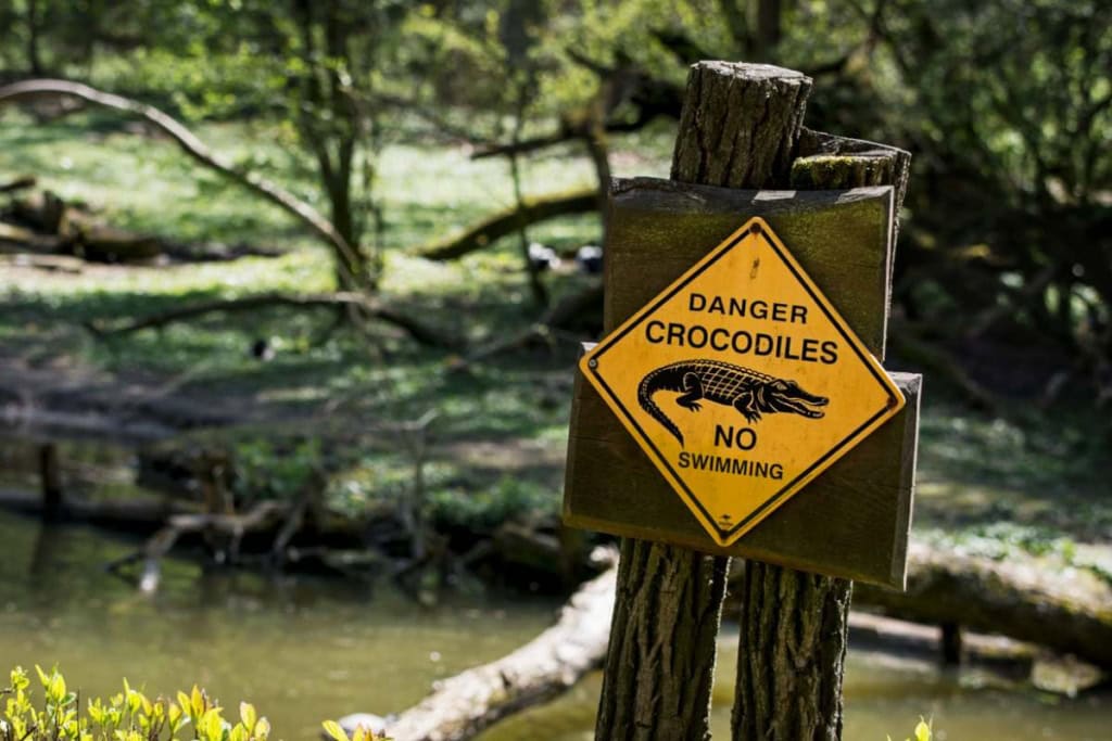 a crocodile danger sign in Australia, where tourists are advised to buy travel insurance for Australia