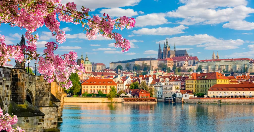 Beautiful spring view of Prague featuring colorful rooftops, the Prague Castle, and blooming cherry blossoms by the Vltava River on a sunny day.