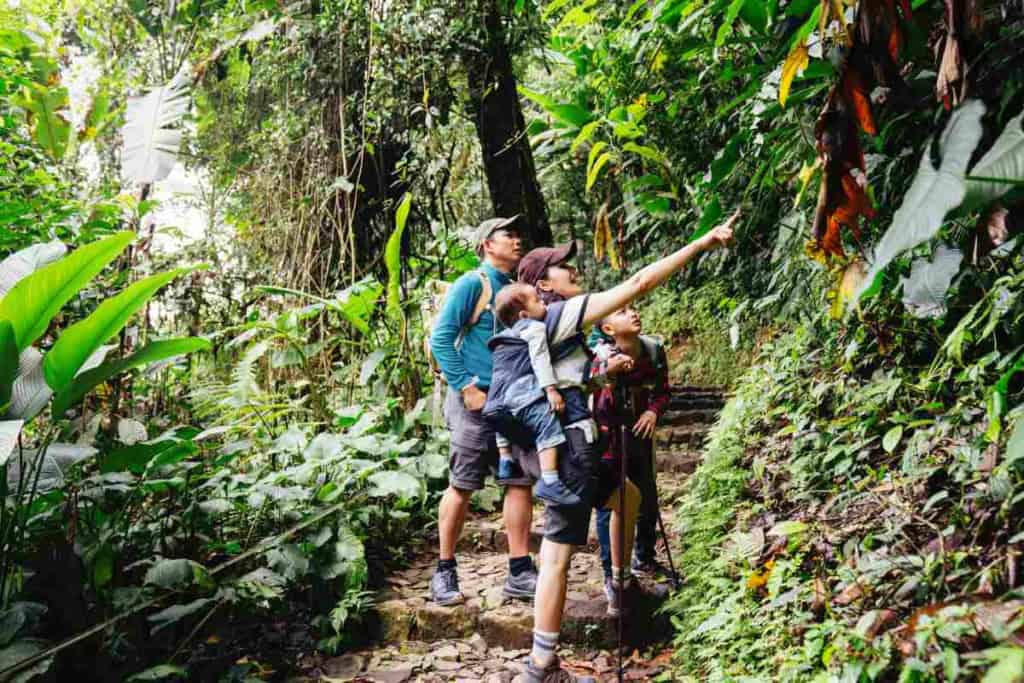 An image of a family hiking through a lush jungle, highlighting the importance of international health coverage during adventurous trips abroad.