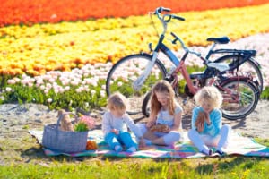 Colorful tulip fields in bloom with a family enjoying a picnic and two bicycles in the background, capturing a spring outdoor scene perfect for community and family event promotion.