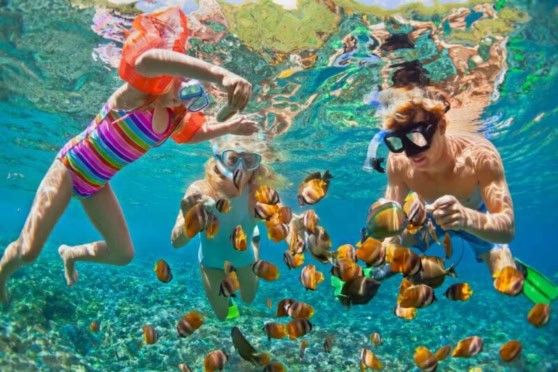 Young children and adults enjoying snorkeling with colorful fish in clear blue ocean water.