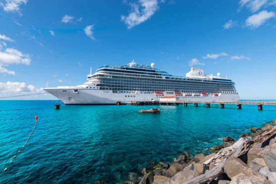 A large white cruise ship anchored at a sunny tropical port with clear turquoise waters and rocks along the shoreline, illustrating international travel experiences and the need for global health insurance coverage.
