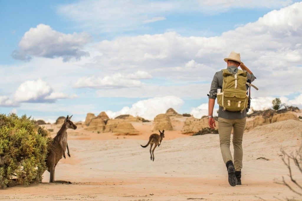 A person hiking in a desert with a backpack and wide-brimmed hat, surrounded by kangaroos under a blue sky with clouds, illustrating outdoor adventure and travel safety considerations.