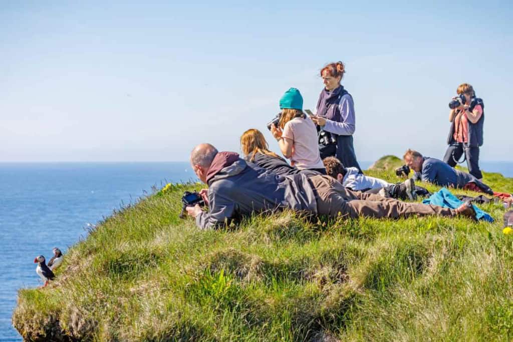 a family watching puffins on a cliff in Iceland, one of the best family vacation ideas for 2026