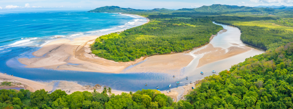 Coastal landscape with sandy beaches, lush green forests, and a winding river meeting the ocean, showcasing natural beauty and biodiversity.