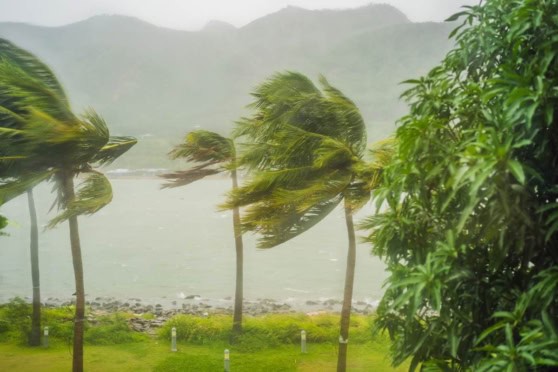 A tropical storm causes strong winds blowing palm trees near a coastline, with rain and mist visible. The scene highlights the importance of reliable insurance for international travelers.