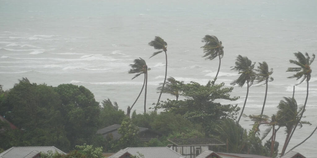 A strong tropical storm causes high winds and rain among palm trees and rooftops in a coastal village.