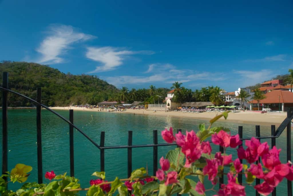 Beach view with turquoise waters and pink flowers in the foreground.