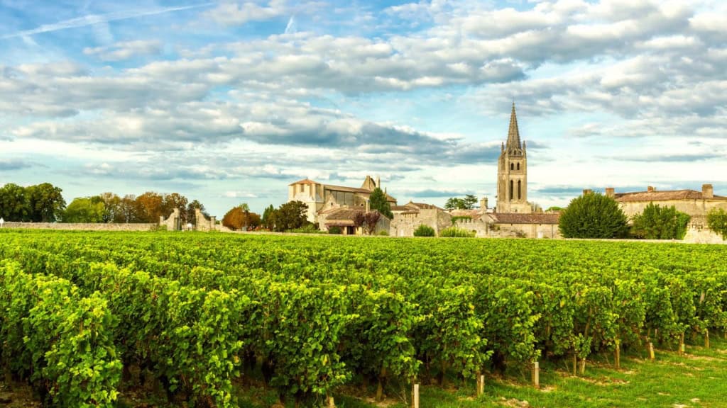 An expansive vineyard in Bordeaux, one of the best places to live in France