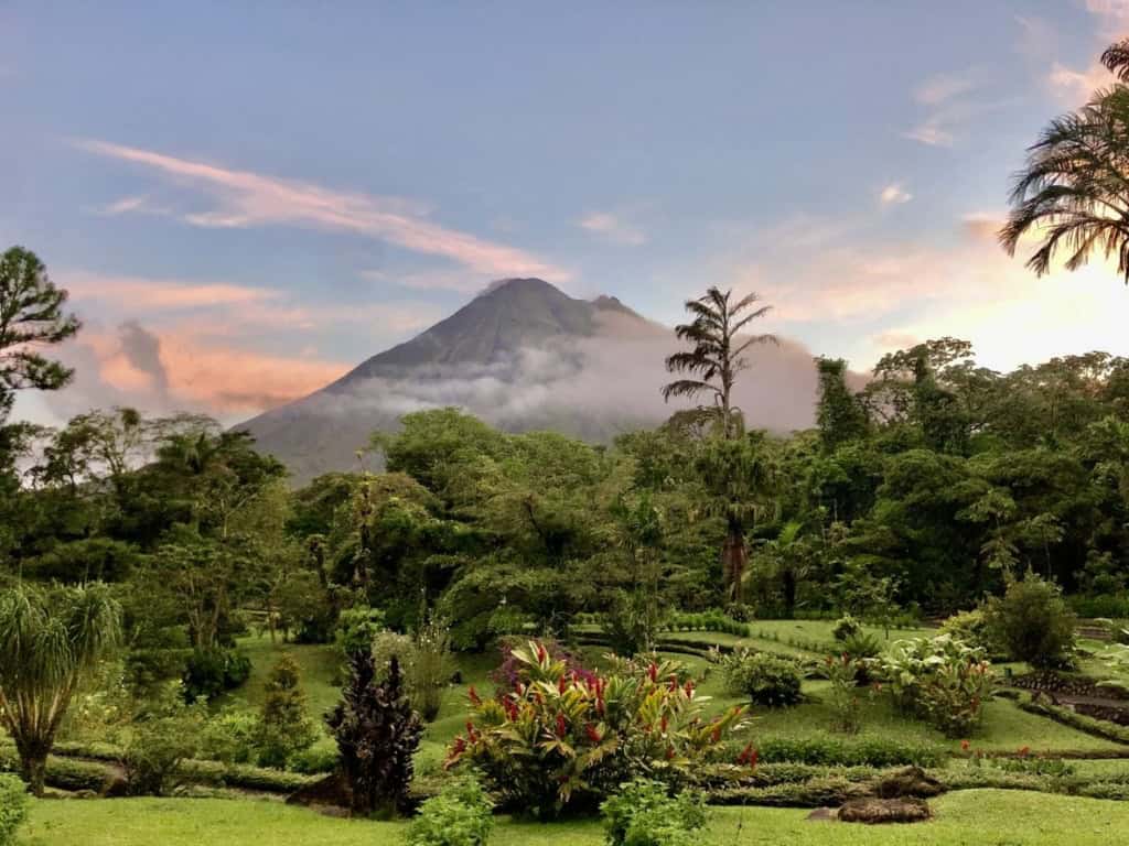 Beautiful tropical mountain with lush greenery and vibrant flora.