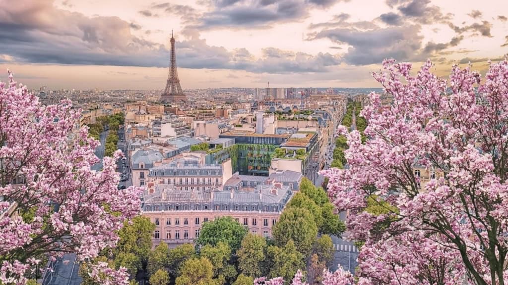 Eiffel Tower and Paris cityscape with pink cherry blossoms in the foreground, showcasing the beauty of Paris as one of the best places to live in France.