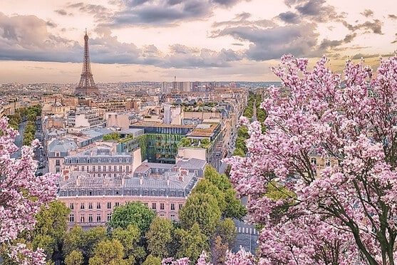 Eiffel Tower and Paris cityscape with pink cherry blossoms in the foreground, showcasing the beauty of France's capital city for expats.