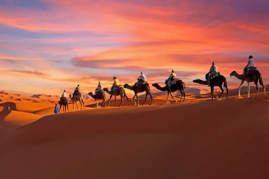 Camel caravan crossing sand dunes at sunset in a desert landscape.