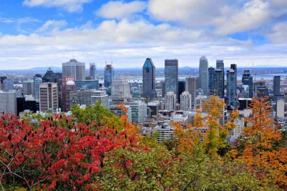 A panoramic view of Montreal's city skyline with colorful autumn foliage in the foreground, showcasing tall skyscrapers and a vibrant cityscape during fall.