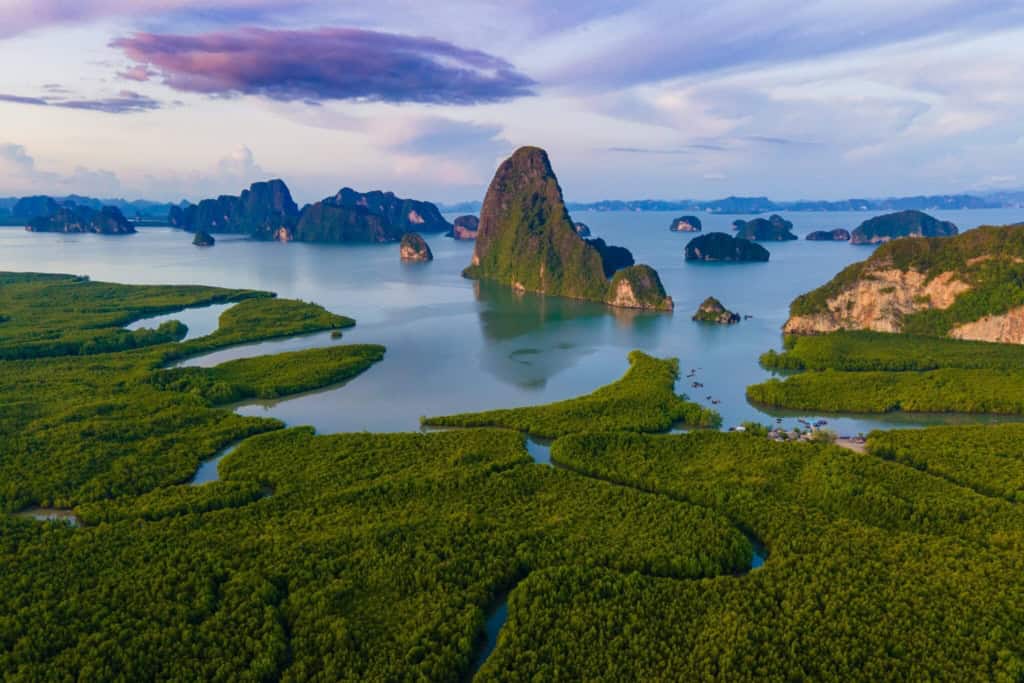 Aerial view of lush green mangroves and limestone karsts in Thailand.
