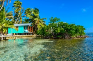 A cozy turquoise cottage located on a tropical shoreline, surrounded by lush palm trees and clear blue waters, ideal for a relaxing vacation.