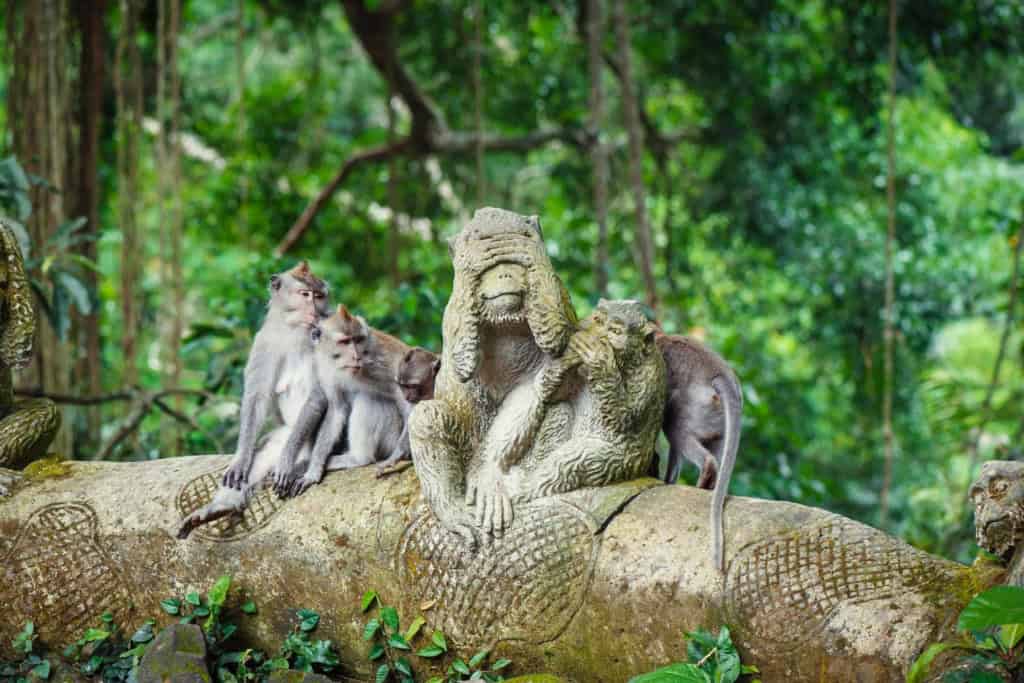 A stone sculpture of a monkey family with young monkeys in a lush green jungle setting.