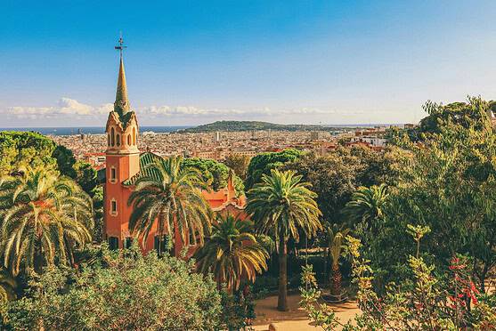 A scenic view of a historic church with a tall steeple surrounded by vibrant palm trees and lush greenery, overlooking a cityscape under a clear blue sky.