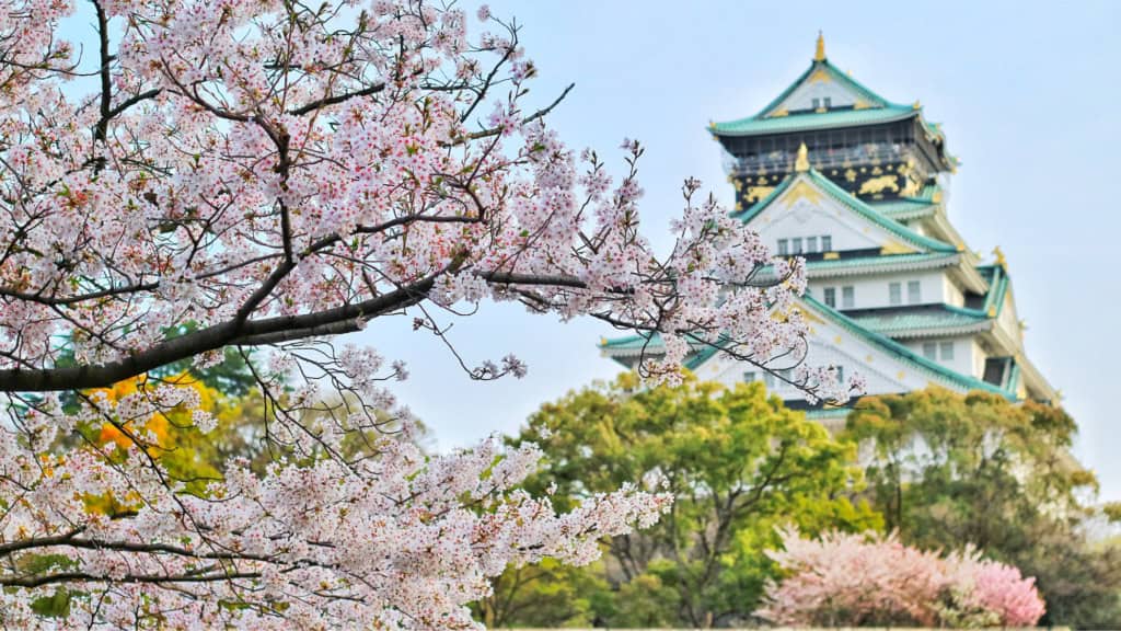 Scenic view of a traditional Japanese castle surrounded by blooming cherry blossoms in spring, representing international travel and insurance coverage for global citizens.
