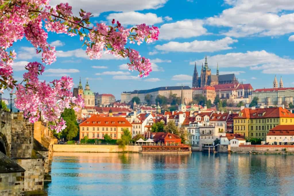 An image of Prague's historic city skyline featuring colorful buildings, the Prague Castle, and the Vltava River, with pink cherry blossoms in the foreground on a bright, sunny day.