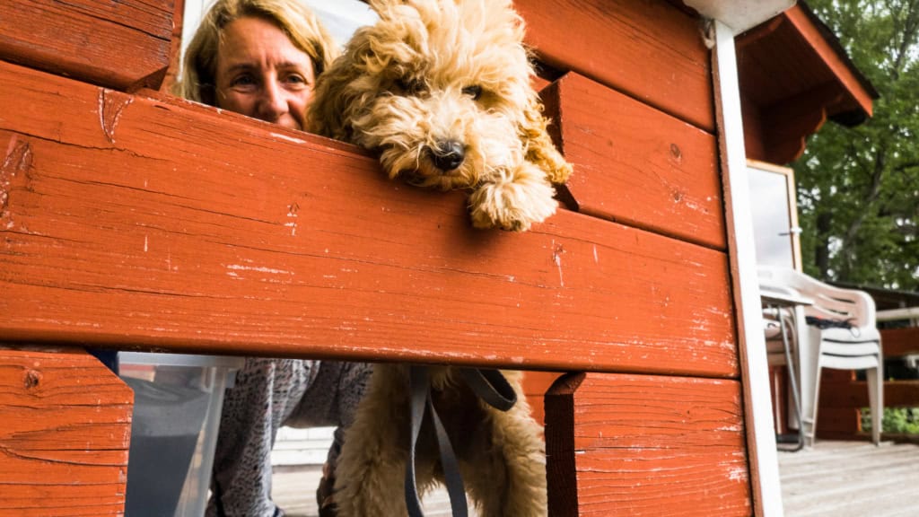 Woman and her adorable dog peeking out from a red wooden doghouse outdoors.