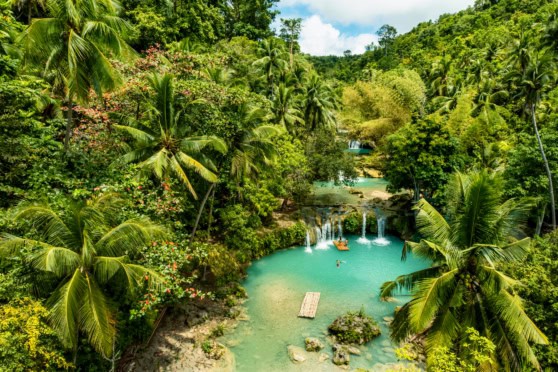 Lush tropical jungle scene featuring cascading waterfalls and a vibrant turquoise river surrounded by dense green foliage and palm trees.