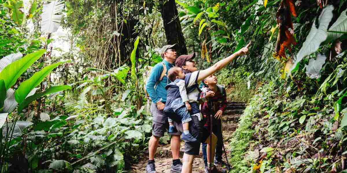 family-hiking-jungle a family hiking through the rainforest in Costa Rica, one of the best family vacation ideas in 2025