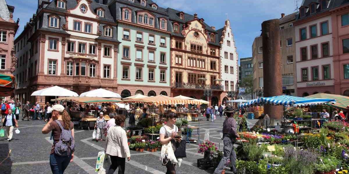 german-farmers-market a farmer's market in Germany, where many people shop after becoming an expat in the country