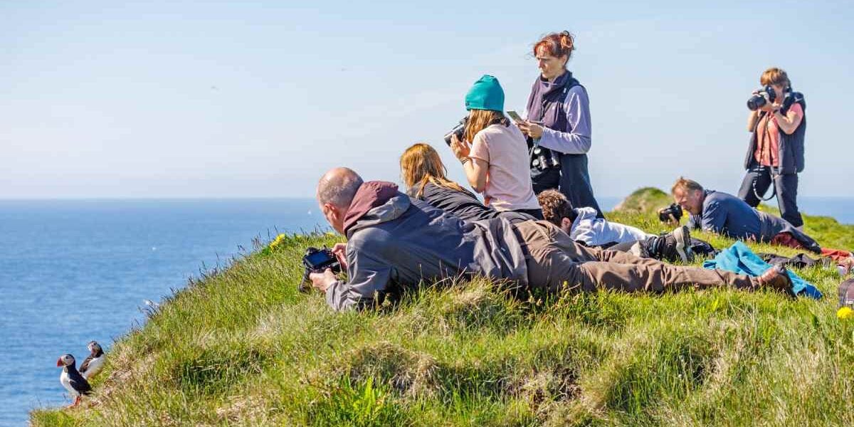 puffin-watching-iceland a family watching puffins on a cliff in Iceland, one of the best family vacation ideas for 2025